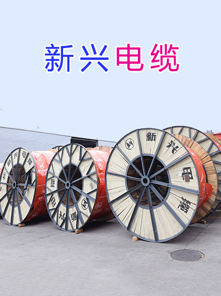 选择我们的6个理由